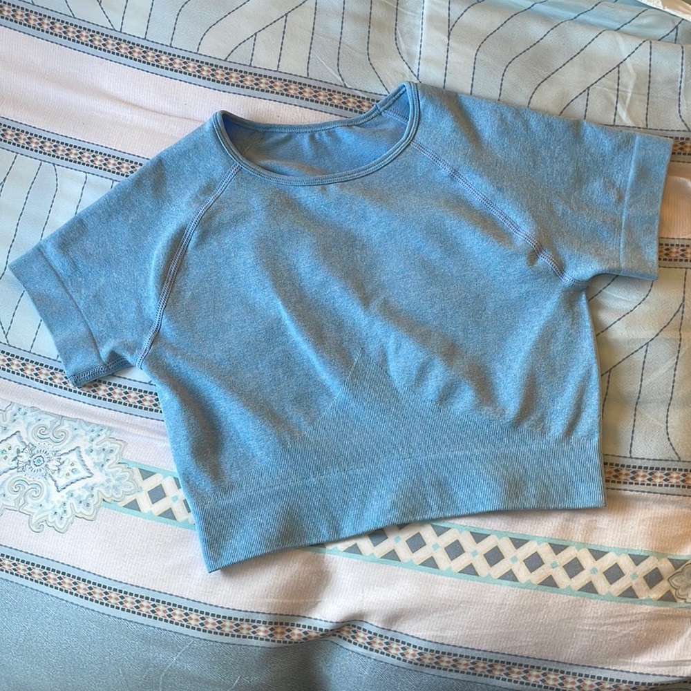 Halara Seamless Cropped Top
